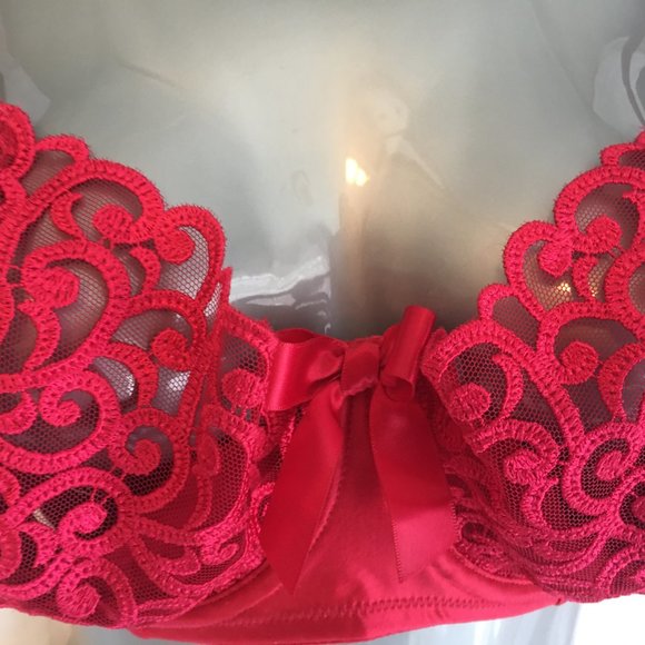 Victoria's Secret 34DD Unlined 1/2 Padding Push Up Cherry Red Lace Underwire Bra - Picture 8 of 16